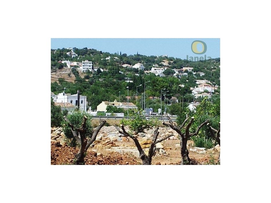 Terreno perto de São Brás de Alportel