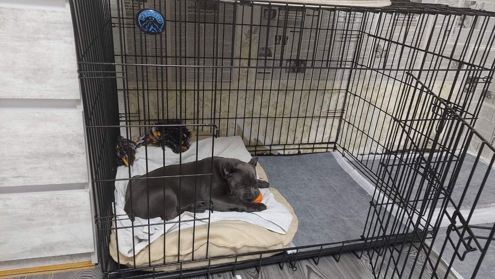 Клітка Укріплена для собак, клетка для больших собак, вольер для собак