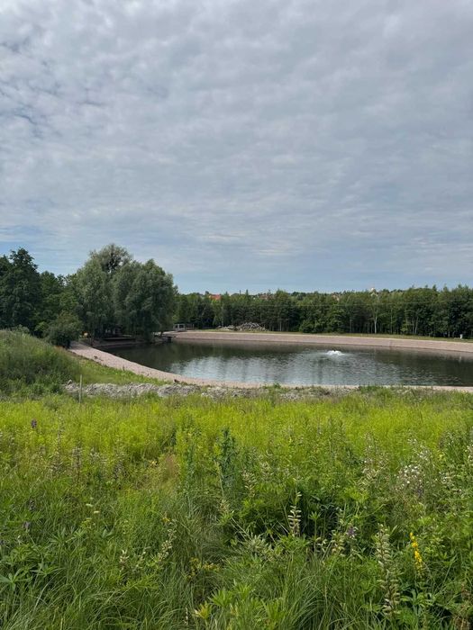 Підготовлена ділянка у Музичах: фундамент, вода, септік, світло, озеро
