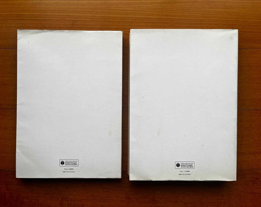 "Pessoa Por Conhecer" de Teresa Rita Lopes