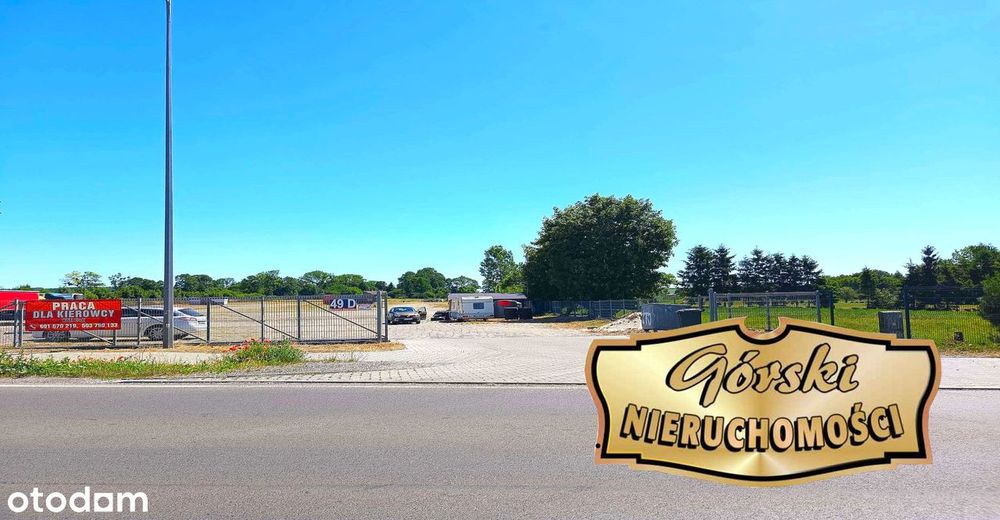 Wybrukowany plac 1 ha do wynajęcia