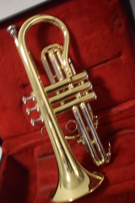 Corneta Blassing  com estoijo. N 13