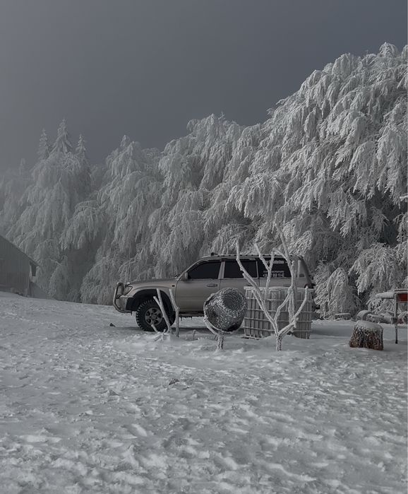 Джип Тур Микуличин