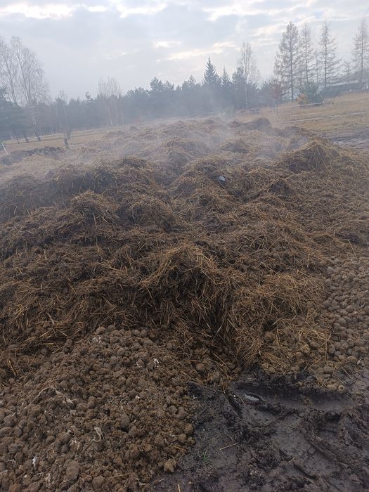 Obornik koński workowany