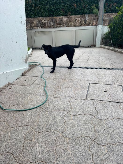 Doação responsável