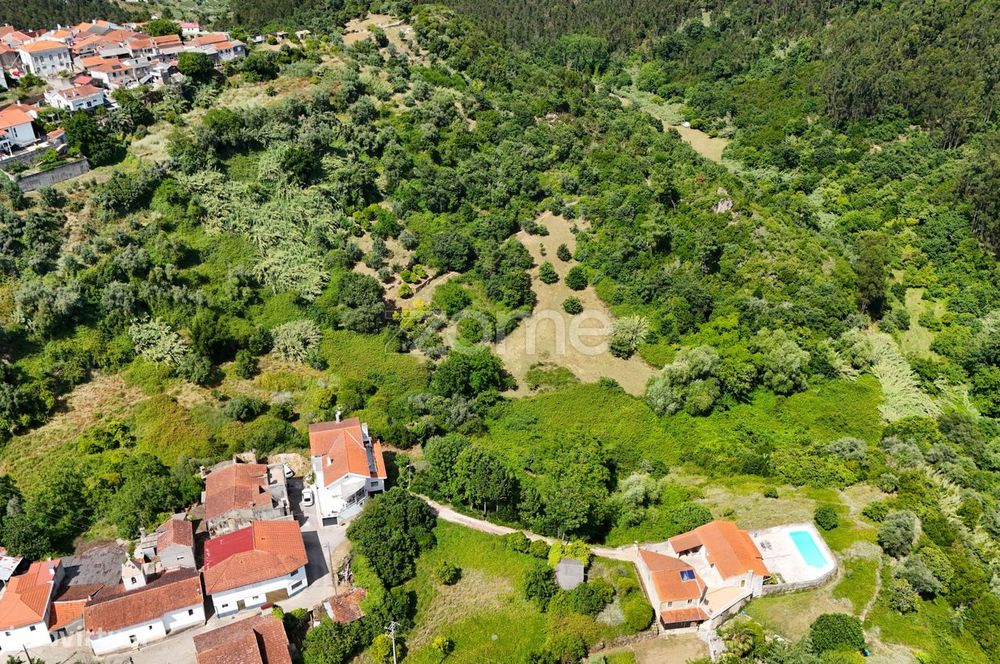 .Terreno Rustico | Bera |Almalaguês