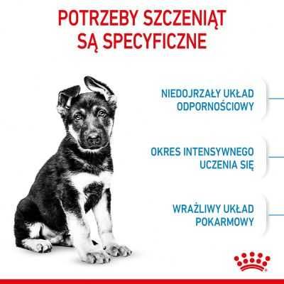 Karma dla psa sucha Royal Canin Maxi Junior 15kg