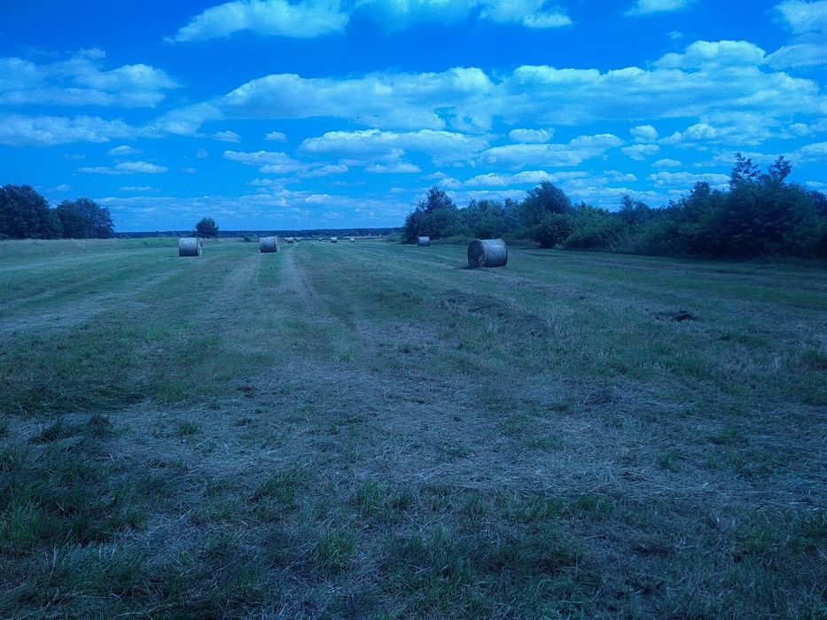 Siano suche belka 120 , dowóz do klienta