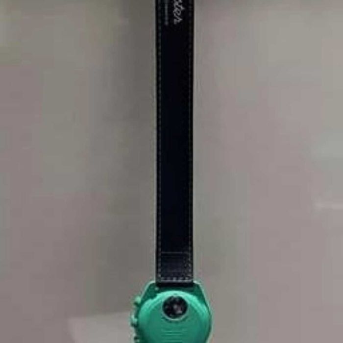 SO33L103 - migoczące światła północy