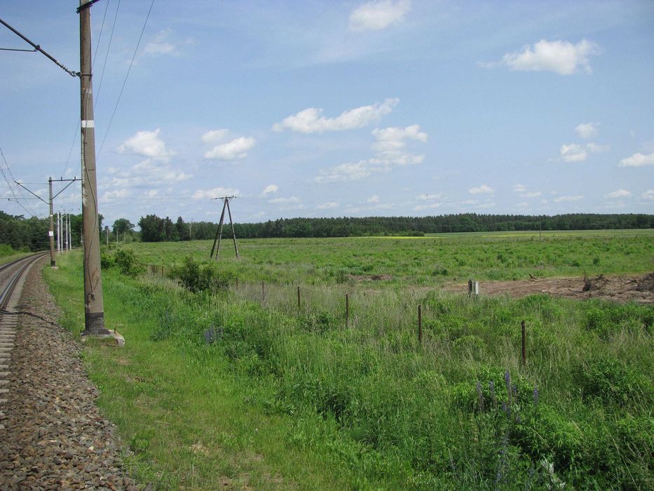 sprzedam grunt rolny, ziemia rolna ,14,78 ha  w Chróstniku gmina Lubin