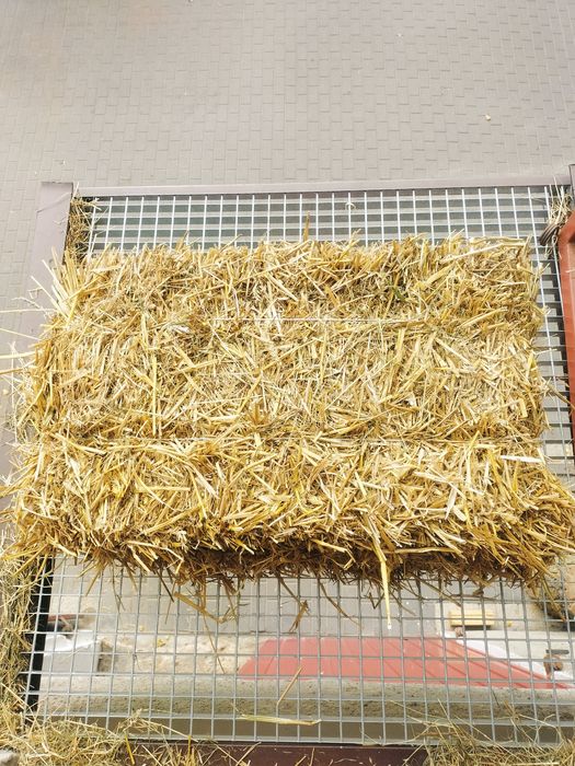 Słoma kostka tegoroczna