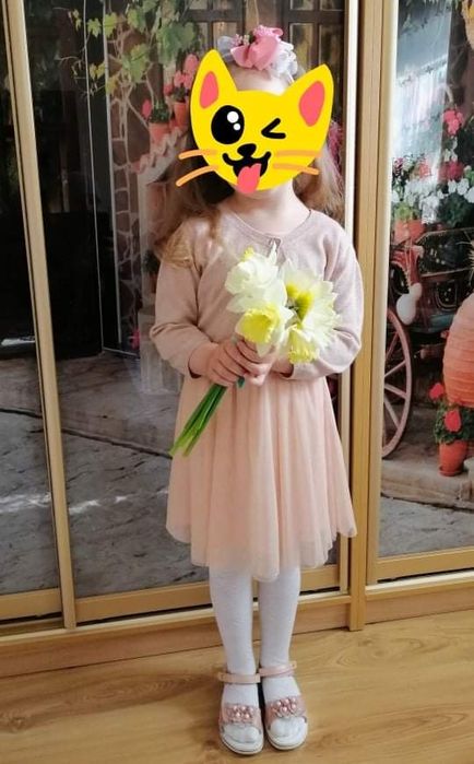 Святкове плаття болеро сукня