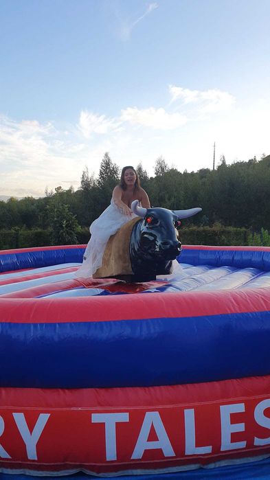 Animação - Casamentos - Batizados - DJ - Touro Mecânico