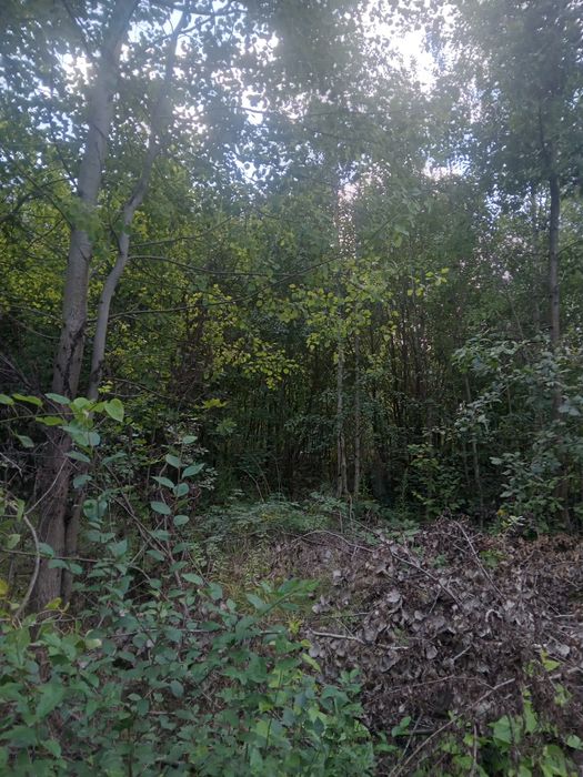 Терміново! 20 соток Земельна ділянка! Торг