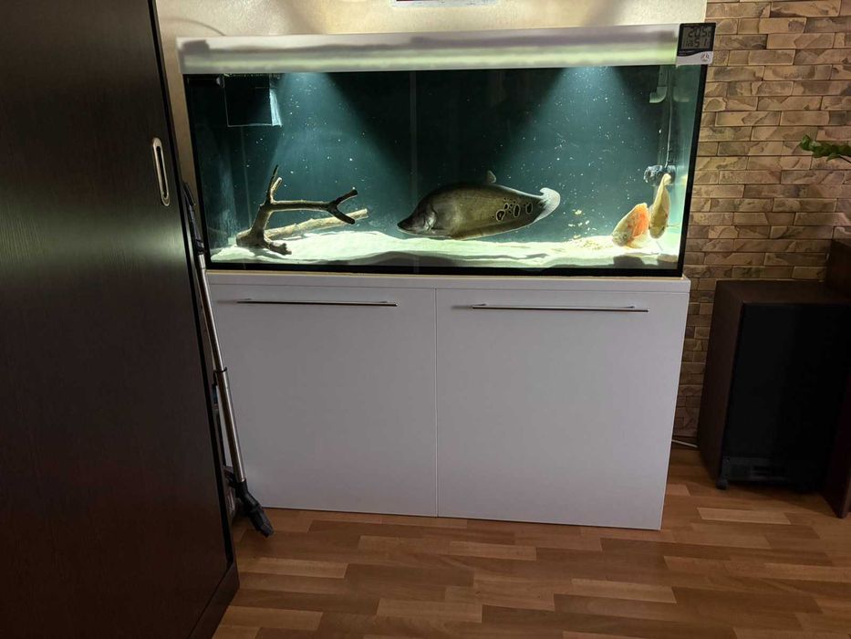 Продам аквариум 500л + рыба + оборудование
