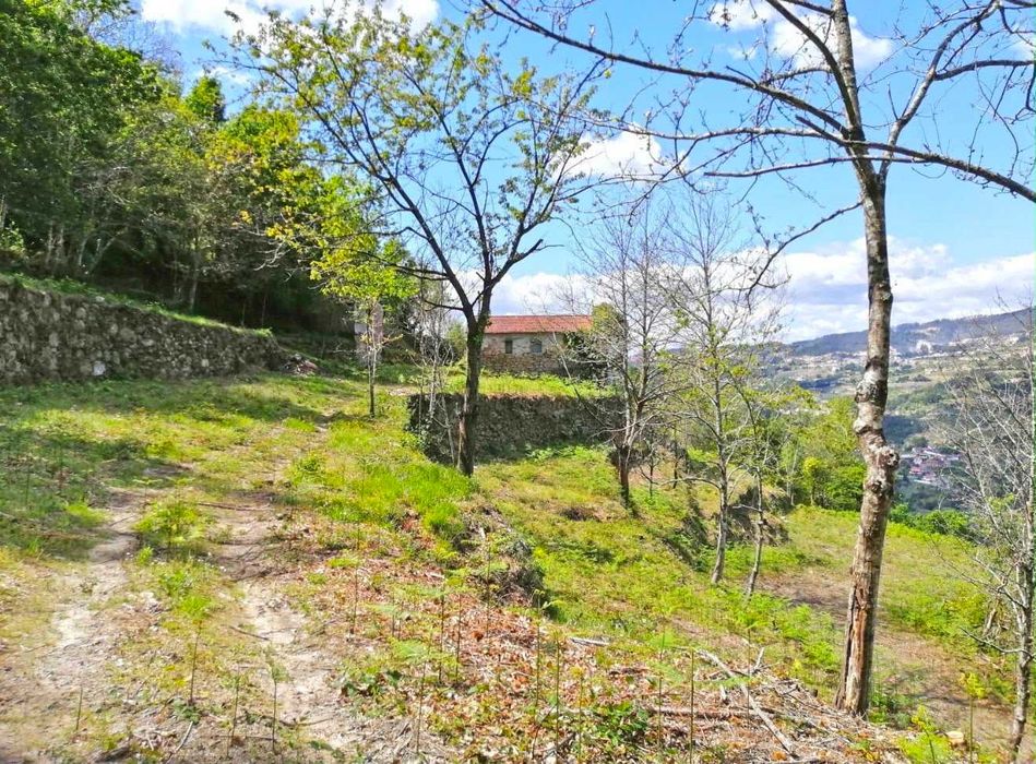Quinta no Douro para Turismo Rural