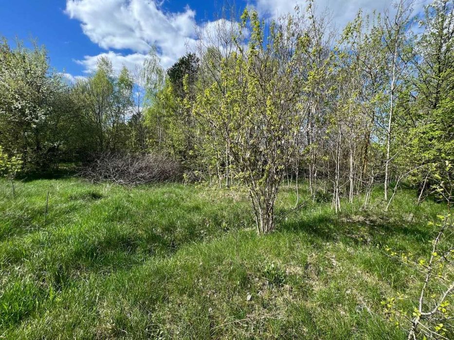 Продаж ділянки 25 соток для будівництва. Поряд озеро. ID:405