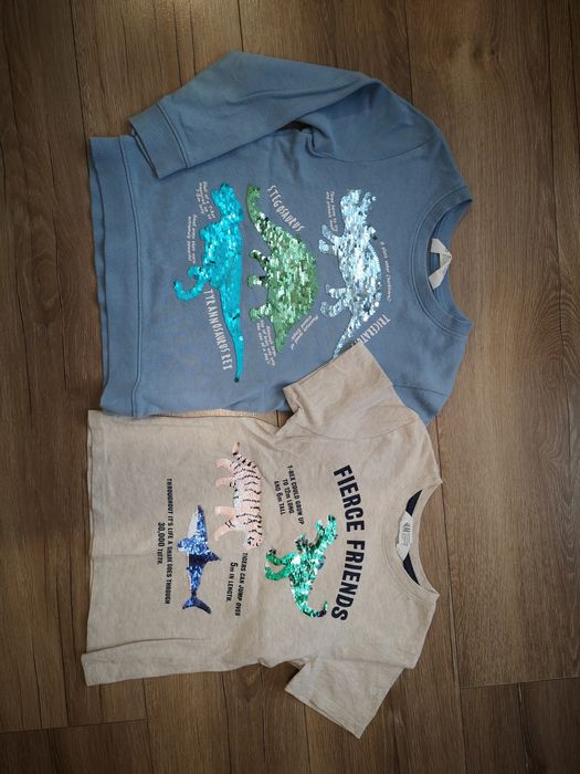 Bluza i koszulka Dinozaury z cekinami r. 110/116 (4-6l) H&M