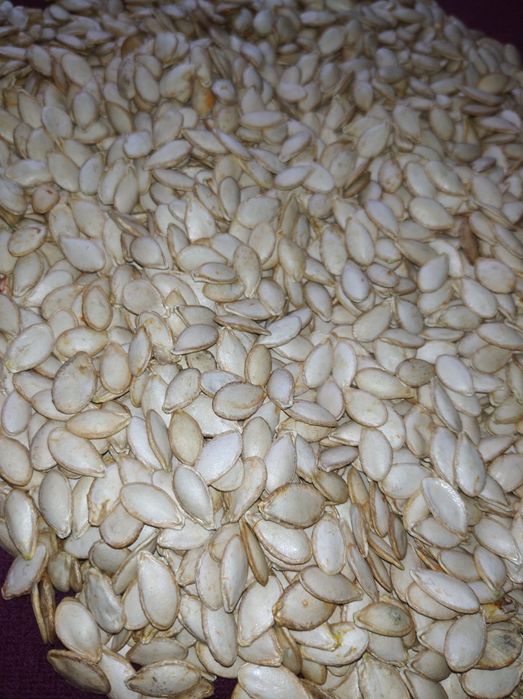 Семена тыквы гарбуза 400 гр.