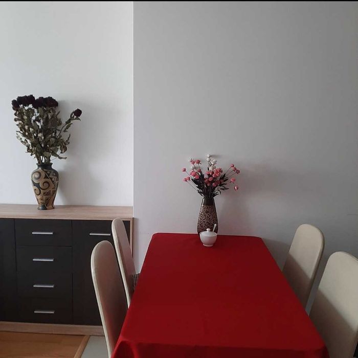 Wynajmę mieszknie 41 m² ul. Berensona - Widok 4