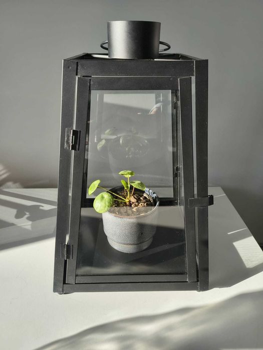 Lampion metalowy czarny/loft/ industrial/ bardzo dobry stan