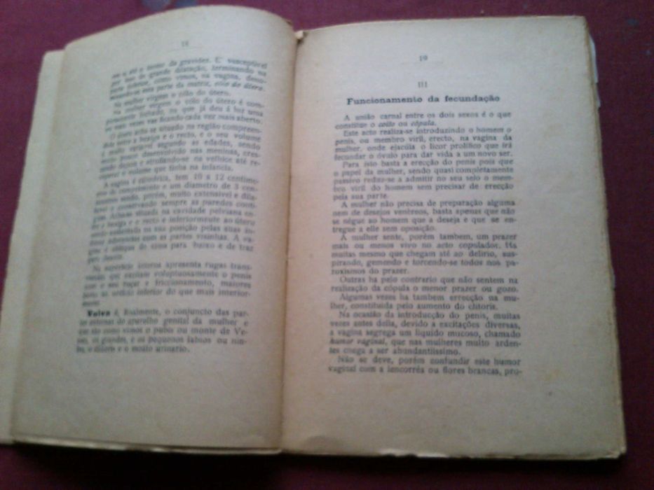 Dr. William Schaft—Fertilization, Pregnancy, and Childbirth—n.d.64741187605634123