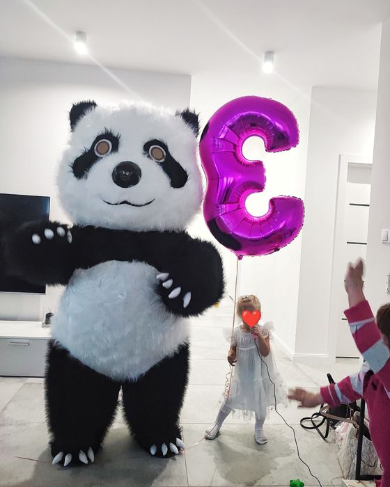 Biały Misiu miś panda na imprezę animacje Dawid misiek brązowy uroczys
