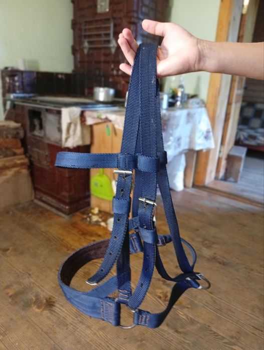 Контари для коней