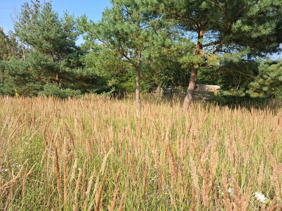 Działka w Łęgach na sprzedaż - Widok 2