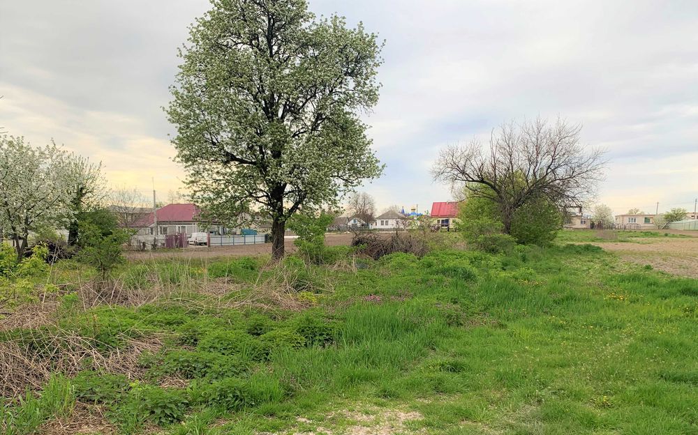 Продам 40 соток, житлова вулиця, газ, світло, асфальт, с. Красилівка