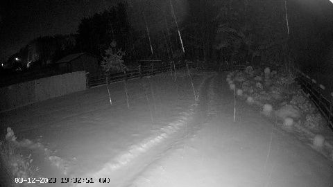 Chatka Trapera Marki z Balią i Sauną