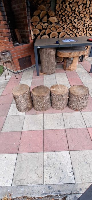 Pieniek dębowy i z olchy