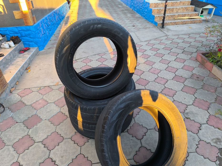 Літня різіна r18