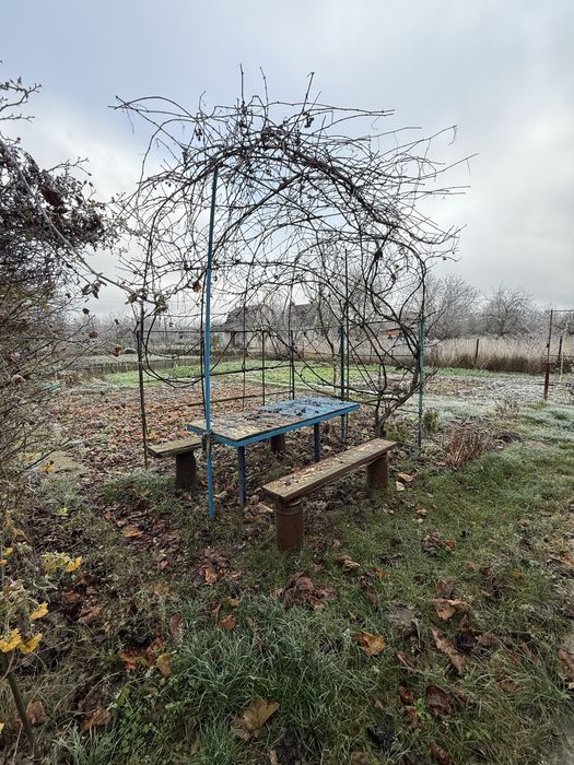 Продаж Дачі в Березанці!!!  5 соток землі