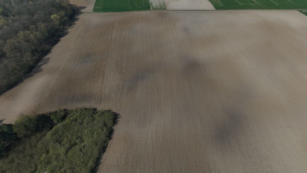 Ziemia Rolna 20ha mozliwosc sprzedaży   mniejszy areał