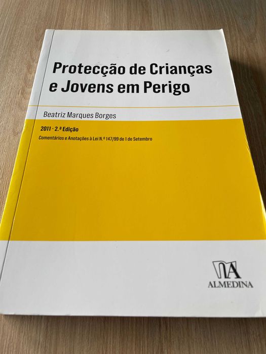 «Protecção de Crianças e Jovens em Perigo», de Beatriz Marques Borges