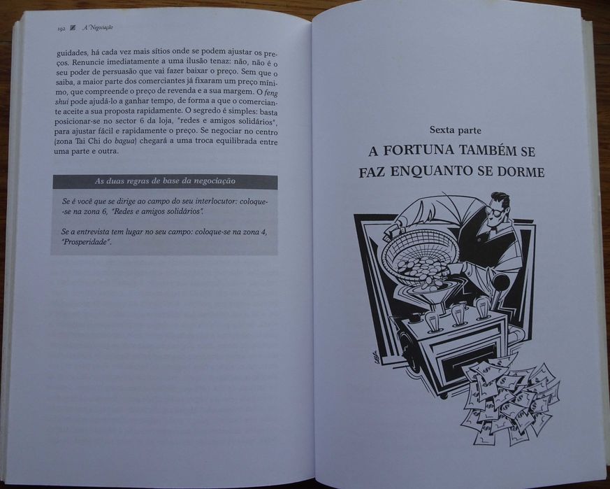 Feng Shui Nos Negócios de Siska Von Saxenburg