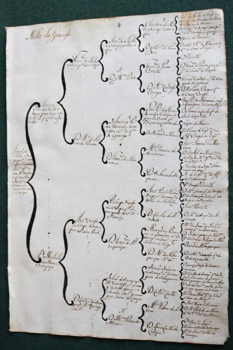 Os Mello e Sampayo da Graciosa árvore de costados (1746)