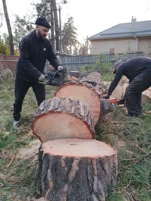Професійна зрізка дерев та благоустрій ділянок корчування,вивіз.