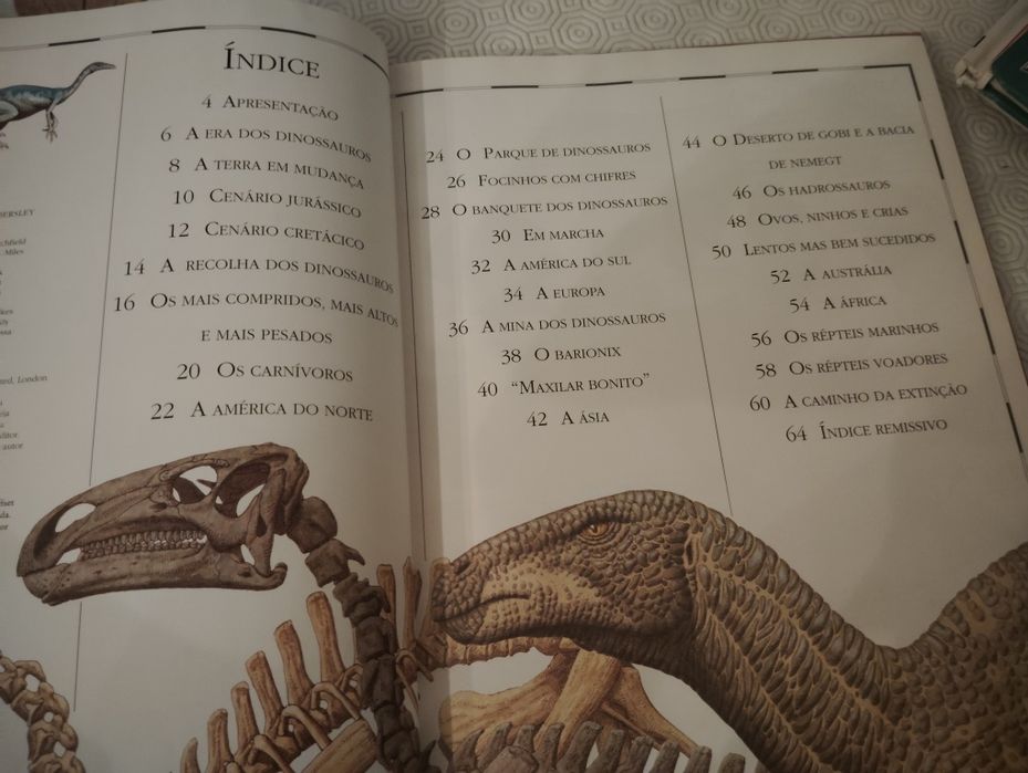 Livros de Atlas Infanto Juvenis Vintage