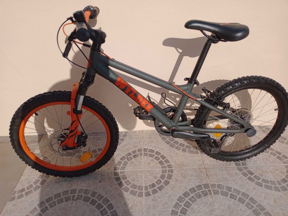 Bicicleta roda 20
