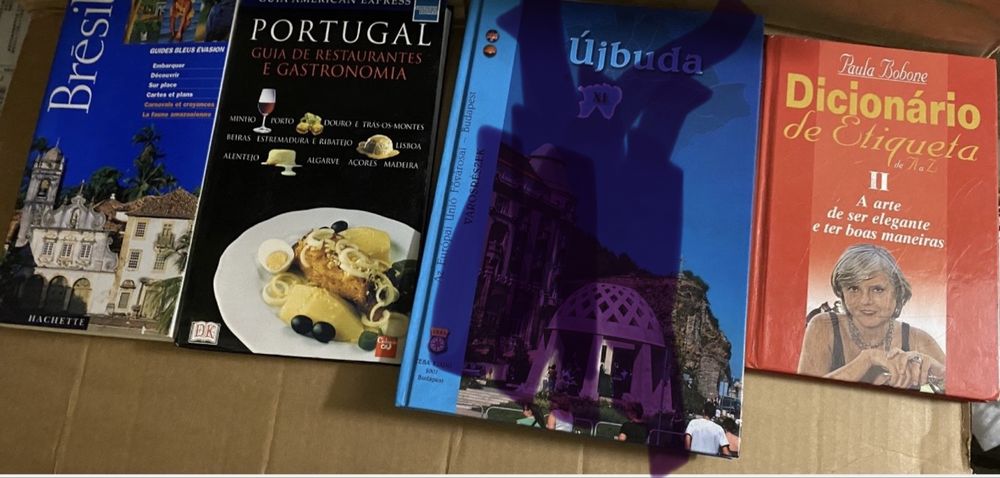 Livros  guia Gastronomia Portugal Dicionario Etiqueta Brasil