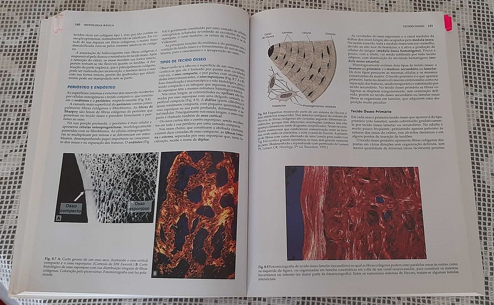 Livro "Histologia Básica", Junqueira 10ª Ed - inclui CD