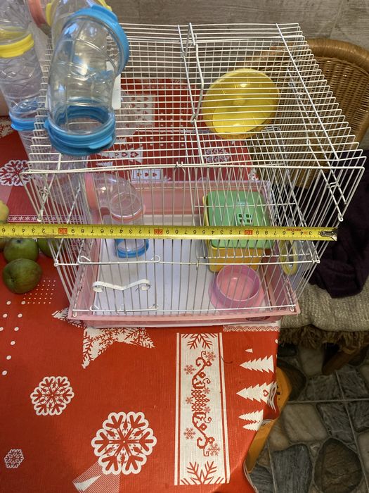Комплекс для хомяка