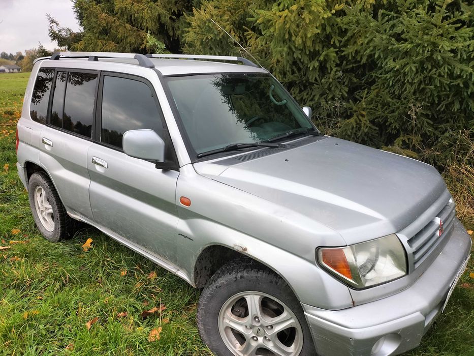 Mitsubishi Pajero pini