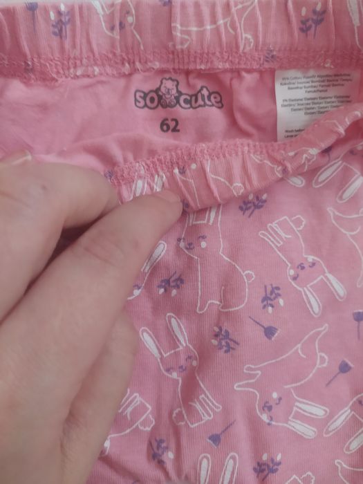 Spodnie w króliczki