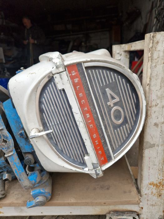 Лодочный мотор Evinrude