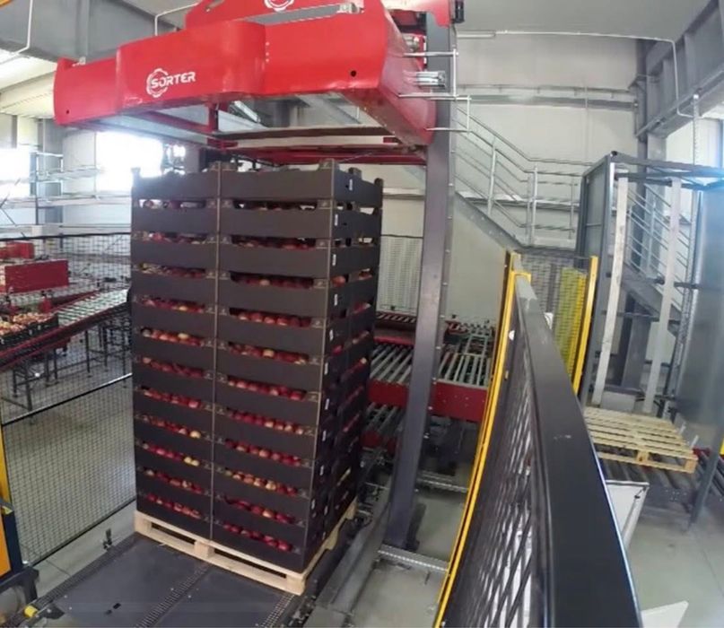 Paletyzator Sorter do kartonów
