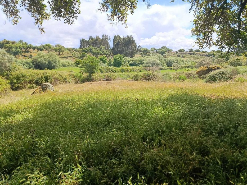 Terreno Ideal para Refúgio de Campo, 7 hectares , Nisa
