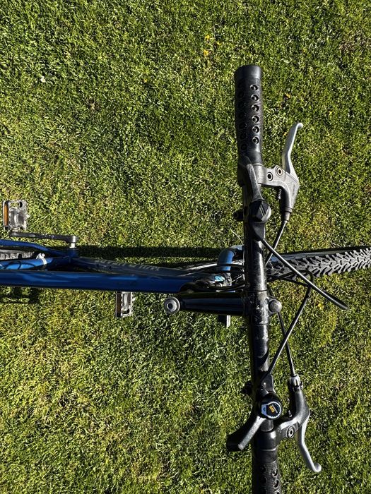 Rower marki wild heart